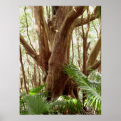 Aardbeienguaveboom en palmen poster (Voorkant)