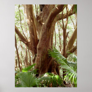 Aardbeienguaveboom en palmen poster