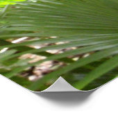 Aardbeienguaveboom en palmen poster (Hoek)