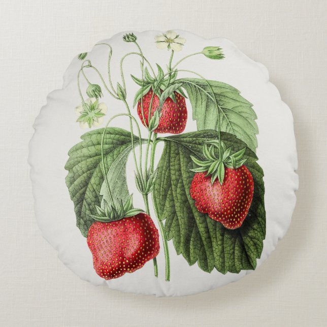  aardbeienillustratie rond kussen (Voorkant)