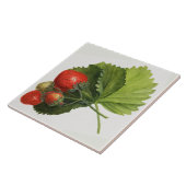 aardbeienillustratie tegeltje (Zijkant)