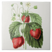  aardbeienillustratie tegeltje (Voorkant)