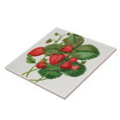  aardbeienillustratie tegeltje (Zijkant)