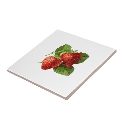 aardbeienillustratie tegeltje (Zijkant)