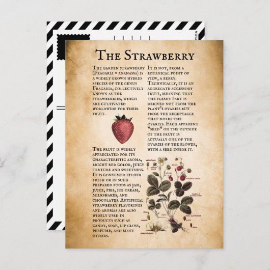  aardbeieninformatie briefkaart (Voorkant / Achterkant)