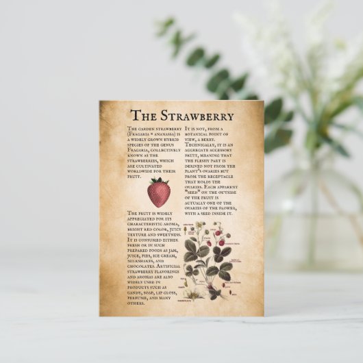  aardbeieninformatie briefkaart (Staand voorkant)