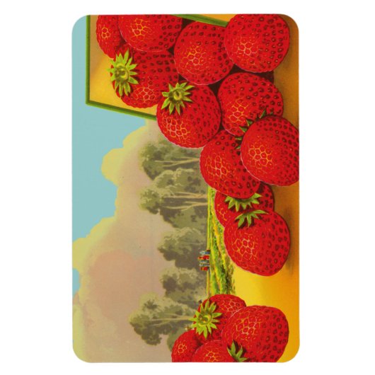  aardbeienkrat Kunstnetten Magneet (Verticaal)