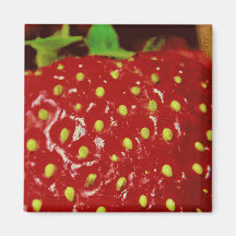 aardbeienmacrografie
