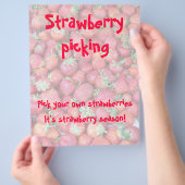 Aardbeienpluche Flyer (Hand)
