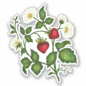 Aardbeienstickers Sticker (Voorkant)
