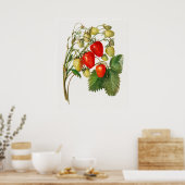 aardbeientak poster (Keuken)