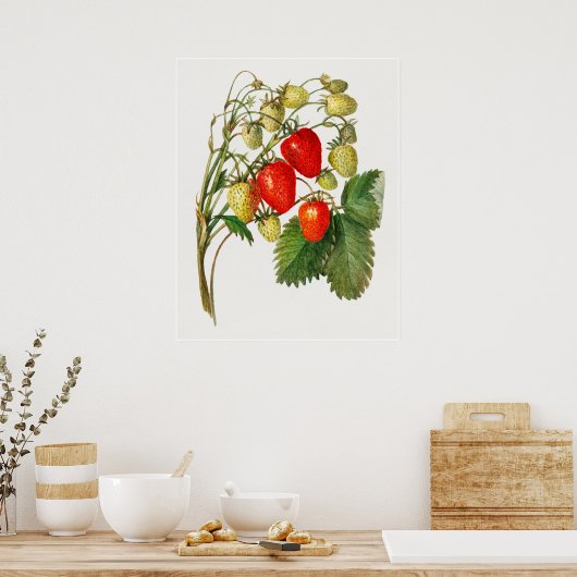 aardbeientak poster (Keuken)