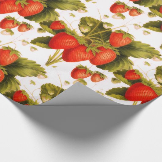  aardbeienteelt cadeaupapier (Hoek)