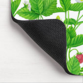 Aardbeientuin Muismat (Hoek)