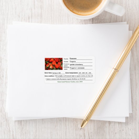 Aardbeientuinen of kledingetiketten van plant. etiket (Insitu)