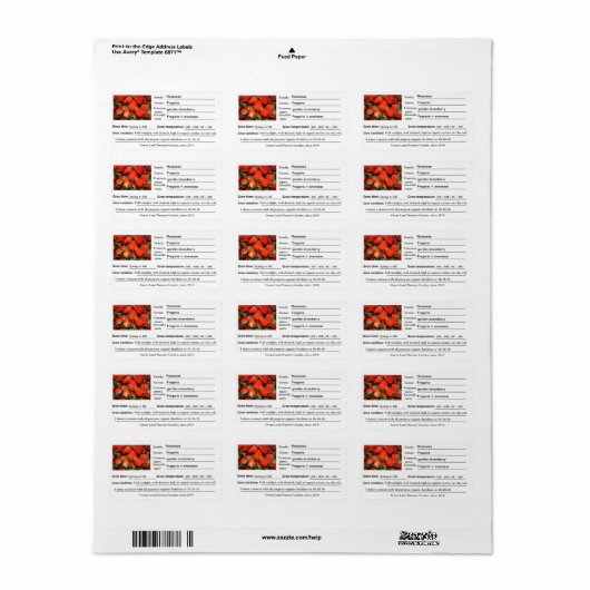 Aardbeientuinen of kledingetiketten van plant. etiket (Full Sheet)