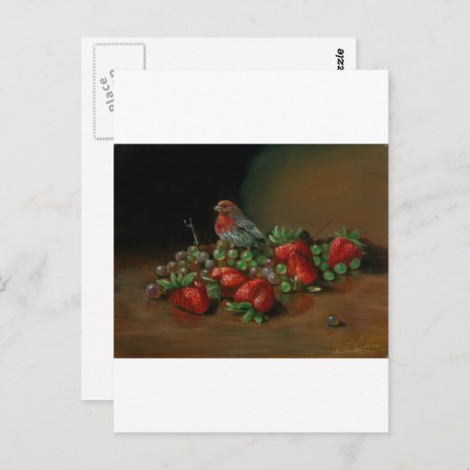 Aardbeienveenvogel en vruchtenaardbeien briefkaart (Voorkant / Achterkant)