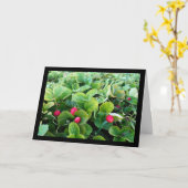Aardbeienveld Kaart (Gele Bloem)