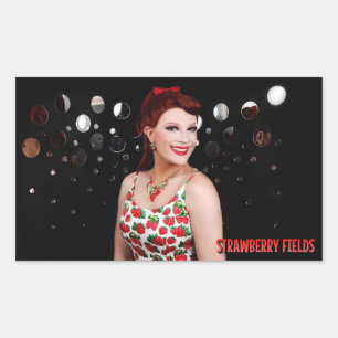 Aardbeienvelden Spiegelen Foto Stickers