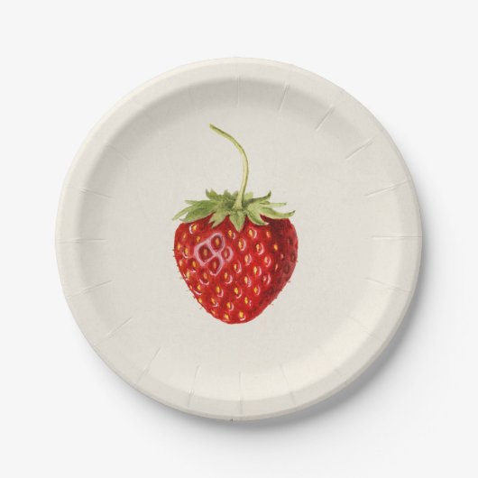  aardbeienverjaardagsfeestje papieren bordje (Voorkant)