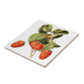 Aardbeienvruchten Botanische afbeelding Tegeltje (Zijkant)