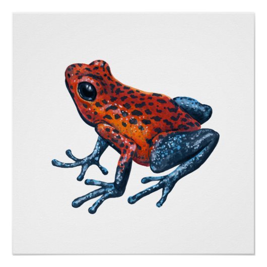 Aardbeikikkergiftkikker Perfect Poster (Voorkant)