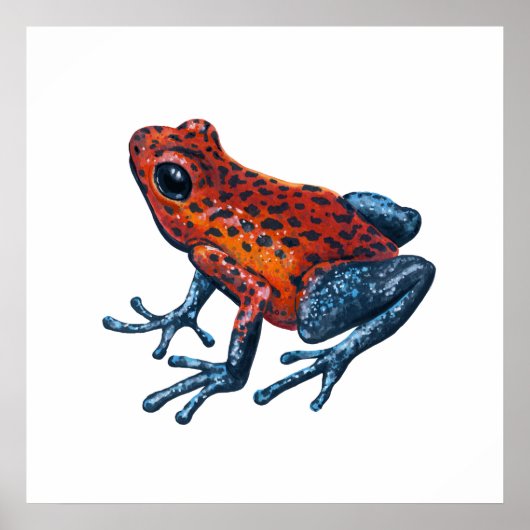 Aardbeikikkergiftkikker Poster (Voorkant)