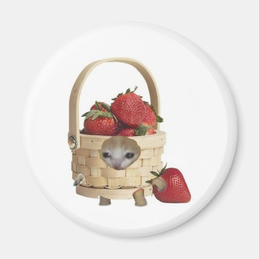 Aardbeimandje kat magneet (Voorkant)