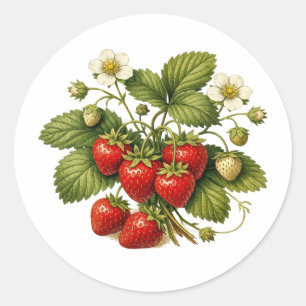 Aardbeiplant in vintage stijl met rijpe bessen ronde sticker