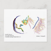 aardbevingen briefkaart (Voorkant)