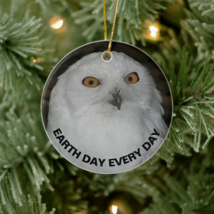 Aarddag elke dag Sneeuwuil Keramisch Ornament