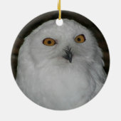 Aarddag elke dag Sneeuwuil Keramisch Ornament (Achterkant)