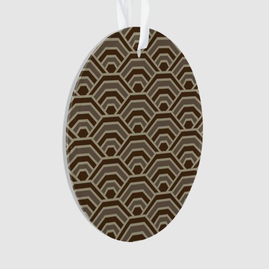 Aarde Bogen Acryl Ornament (voorkant)