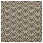 Aarde bogen stof (Close Up)