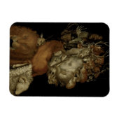 Aarde, c.1570 (olie op het paneel) magneet (Horizontaal)