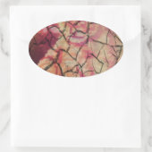 Aarde Elegante Leeuw: Hakuna Matata Textured Desig Ovale Sticker (Tas)