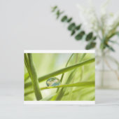 Aarde in een druppel briefkaart (Staand voorkant)