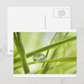 Aarde in een druppel briefkaart (Voorkant / Achterkant)