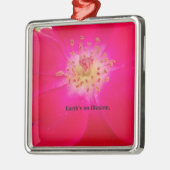 Aarde is een illusie metalen ornament (Links)