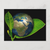 AARDE IS GEBOREN BRIEFKAART (Voorkant)