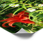 Aarde lacht poster (Hoek)