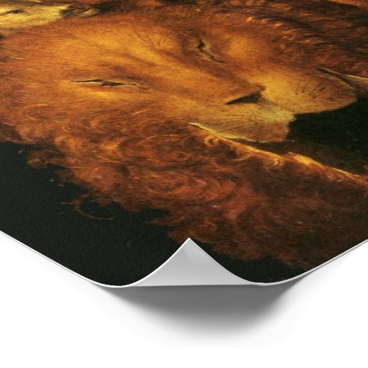 AARDE / LEGATIE MET WILDE DIEREN POSTER (Hoek)