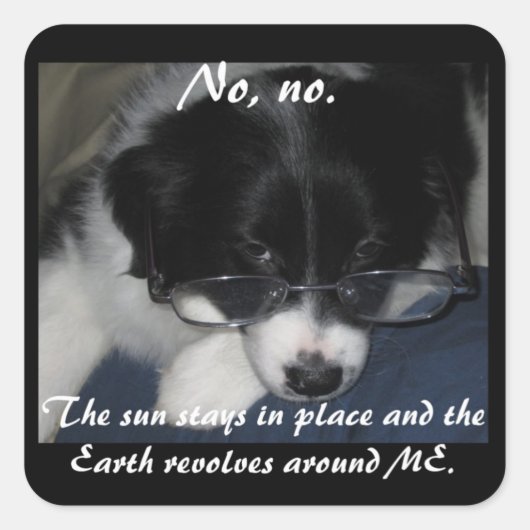 'Aarde revolves rond me' stickers - set van 20 (Voorkant)