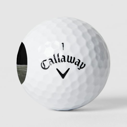 Aarde van maan in zwarte ruimte: aardopgang golfballen (Logo)