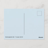 Aarde-Wereldbol Briefkaart (Achterkant)