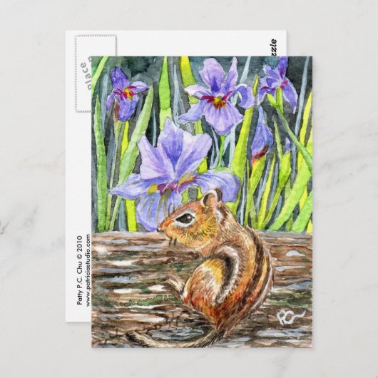 Aardeekhoorn en Irissen Briefkaart (Voorkant / Achterkant)