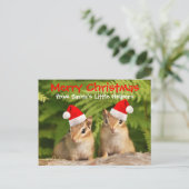 Aardeekhoorns van het Baby van de Helpers van de Feestdagenkaart (Staand voorkant)