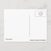 Aardeekhoorns van het Baby van de Helpers van de Feestdagenkaart (Achterkant)