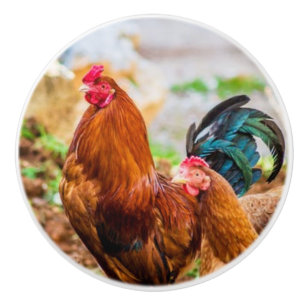 aardewerk keramische knoppen