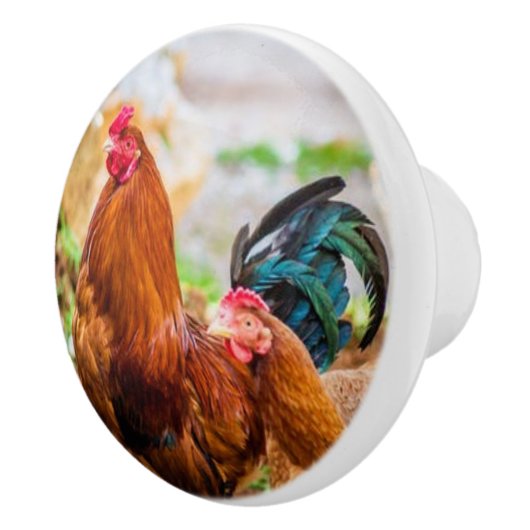 aardewerk keramische knoppen (Rechts)